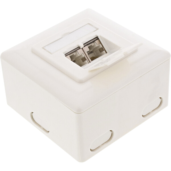 InLine® Cat.6 Wall Outlet Box surface or flush mount 2x RJ45 horizontal