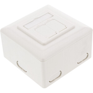 InLine® Cat.6 Wall Outlet Box surface or flush mount 2x RJ45 horizontal