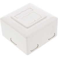 InLine® Cat.6 Wall Outlet Box surface or flush mount 2x RJ45 horizontal