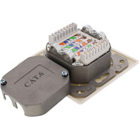 InLine® Cat.6 Wall Outlet Box surface or flush mount 2x RJ45 horizontal