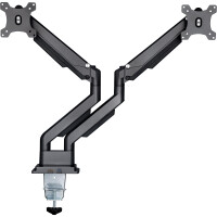 InLine® Tischhalterung mit Lifter & USB/Audio, 2 Monitore bis 81cm (32"),schwarz